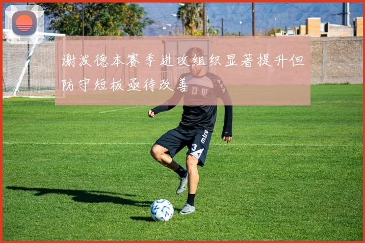 谢泼德本赛季进攻组织显著提升但防守短板亟待改善
